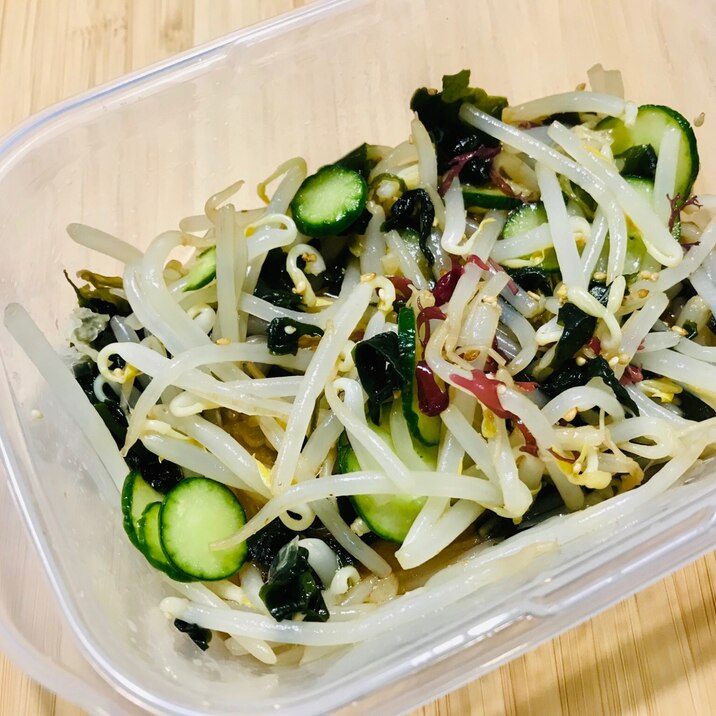 きゅうりともやしと海藻の酢の物 レシピ 作り方 By ちょこくろ 楽天レシピ きゅうりともやしと海藻の酢の物 レシピ 作り方 By ちょこくろ 楽天レシピ